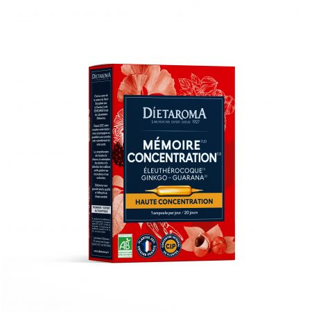 C.I.P MÉMOIRE CONCENTRATION