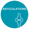 Articulations - Capital osseux