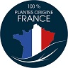 plante française